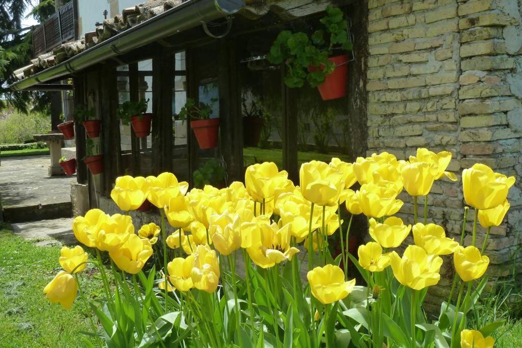 Casa rural Mertxenea Landetxea Elcano Exterior foto